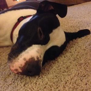 Meet your Posher, Trish